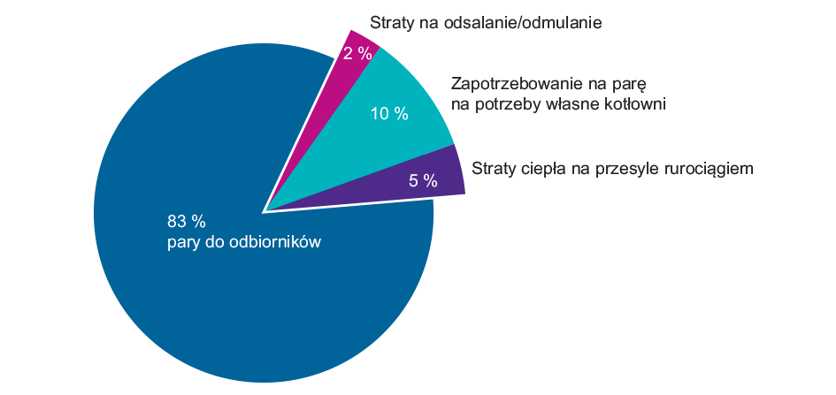 Rozkład zużycia wytworzonej przez kocioł pary (wartości przykładowe)